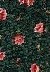 fabric used in Clamshell Butterfly